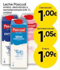 Cash FROIZ PASCUAL Leche oferta
