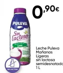 Cash FROIZ PULEVA Leche Mañanas Ligeras sin lactosa semidesnatada oferta