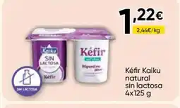 Cash FROIZ KÉFIR Kaku natural sin lactosa oferta