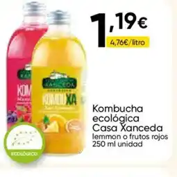Cash FROIZ CASA XANCEDA Kombucha ecológica oferta