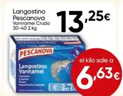 Cash FROIZ PESCANOA Langostino oferta