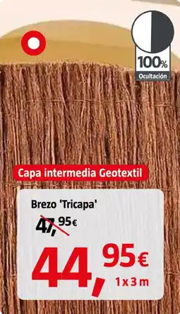 Bauhaus Brezo 'Tricapa' oferta