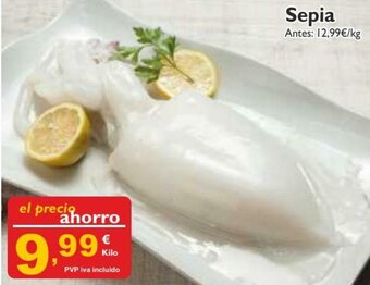 Cash Ecofamilia Sepia oferta