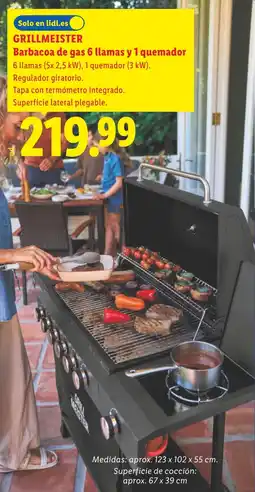 Lidl GRILLMEISTER Barbacoa de gas 6 llamas y 1 quemador oferta