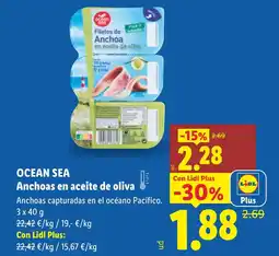 Lidl OCEAN SEA Anchoas en aceite de oliva oferta