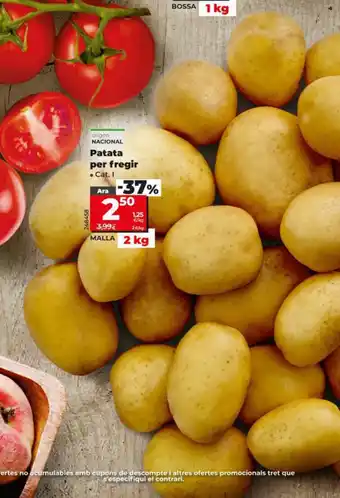 Maxi Dia Patata per fregir oferta