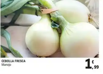 E.Leclerc Cebolla fresca oferta