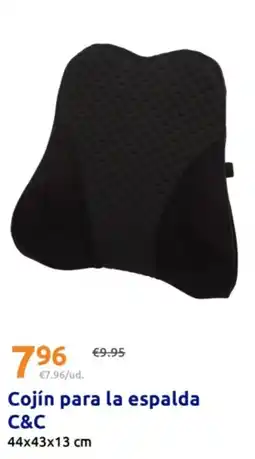 Action Cojín para la espalda oferta