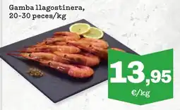 Sorli Gamba llagostinera oferta