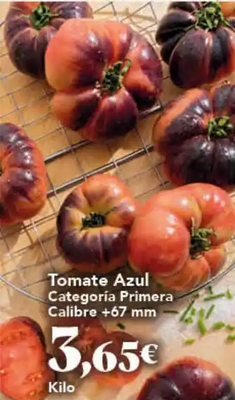 Gadis Tomate Azul oferta