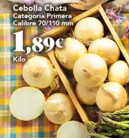 Gadis Cebolla Chata oferta