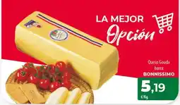 Spar Tenerife BONNISSIMO Queso Gouda barra oferta
