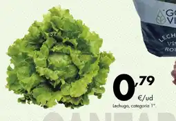 Supermercados Lupa Lechuga, categoría 1°. oferta