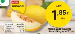 FROIZ Melón Bollo amarillo oferta