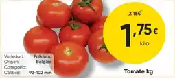 FROIZ Tomate oferta