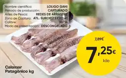 FROIZ Calamar Patagónico oferta