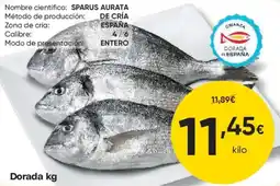 FROIZ Dorada oferta