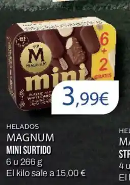 FROIZ MAGNUM Helados mini surtido oferta