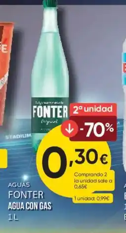 FROIZ FONTER Agua con gas oferta