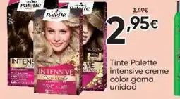 FROIZ PALETTE Tinte intensive creme color gama unidad oferta