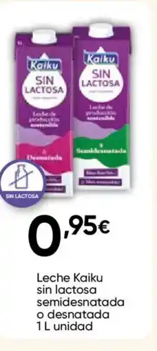 Cash FROIZ KAIKU Leche sin lactosa Semidesnatada o desnatada oferta