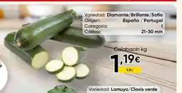 Cash FROIZ Calabacín oferta