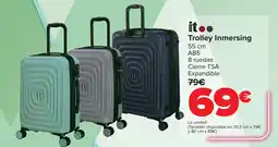 Carrefour IT Trolley Inmersing oferta