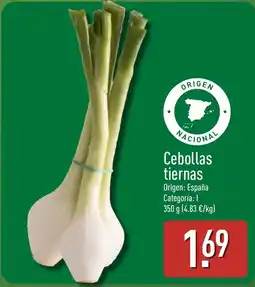 ALDI Cebollas tiernas oferta