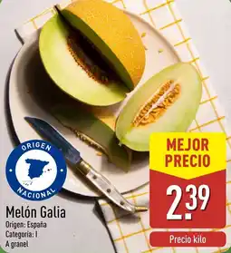 ALDI Melón Galia oferta