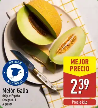 ALDI Melón Galia oferta