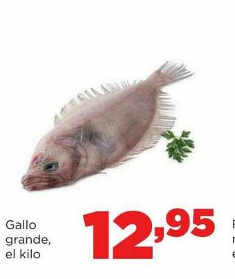 Alimerka Gallo Grande oferta