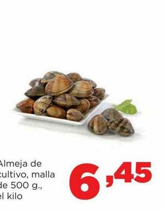 Alimerka Almeja De Cultivo oferta