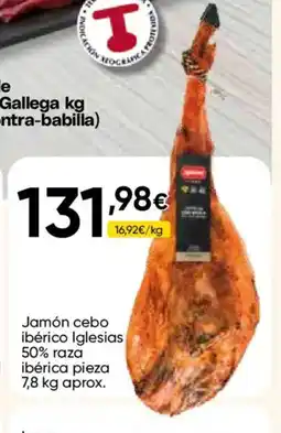 Cash FROIZ Jamón cebo ibérico Iglesias 50% raza ibérica pieza oferta