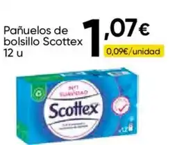 Cash FROIZ SCOTTEX Pañuelos de bolsillo oferta