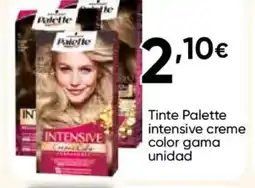 Cash FROIZ PALETTE Tinte intensive creme color gama oferta