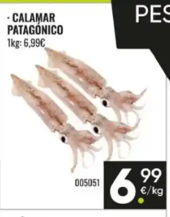 Family Cash Calamar patagónico oferta