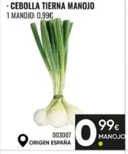 Family Cash Cebolla tierna manojo 1 manojo oferta