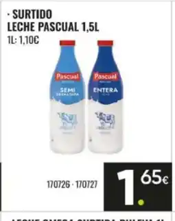 Family Cash PASCUAL Surtido leche oferta