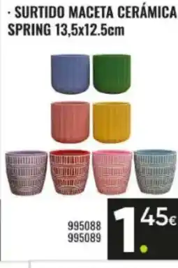 Family Cash Surtido maceta cerámica spring oferta