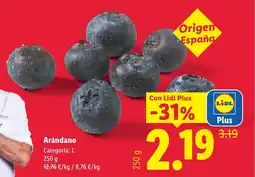 Lidl Arándano oferta