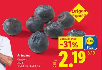 Arándano