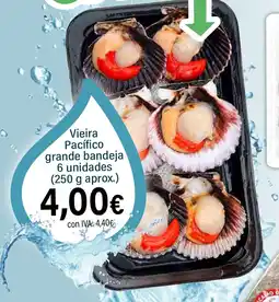 Cash Ifa Vieira Pacífico grande bandeja 6 unidades oferta