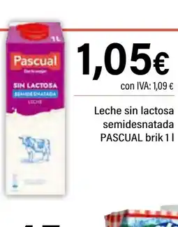 Cash Ifa PASCUAL Leche sin lactosa semidesnatada oferta