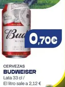 Supermercados Plaza Budweiser Cervezas oferta