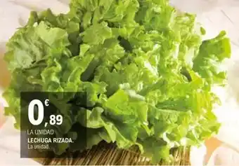 E.Leclerc Lechuga rizada oferta