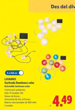 Lidl LIVARNO Garlanda lluminosa solar Guirnalda luminosa solar oferta