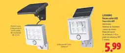 Lidl LIVARNO Focus solar LED oferta