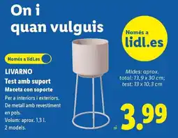 Lidl LIVARNO Test amb suport Maceta con soporte oferta