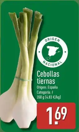 ALDI Cebollas tiernas oferta