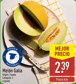 ALDI Melón Galia oferta